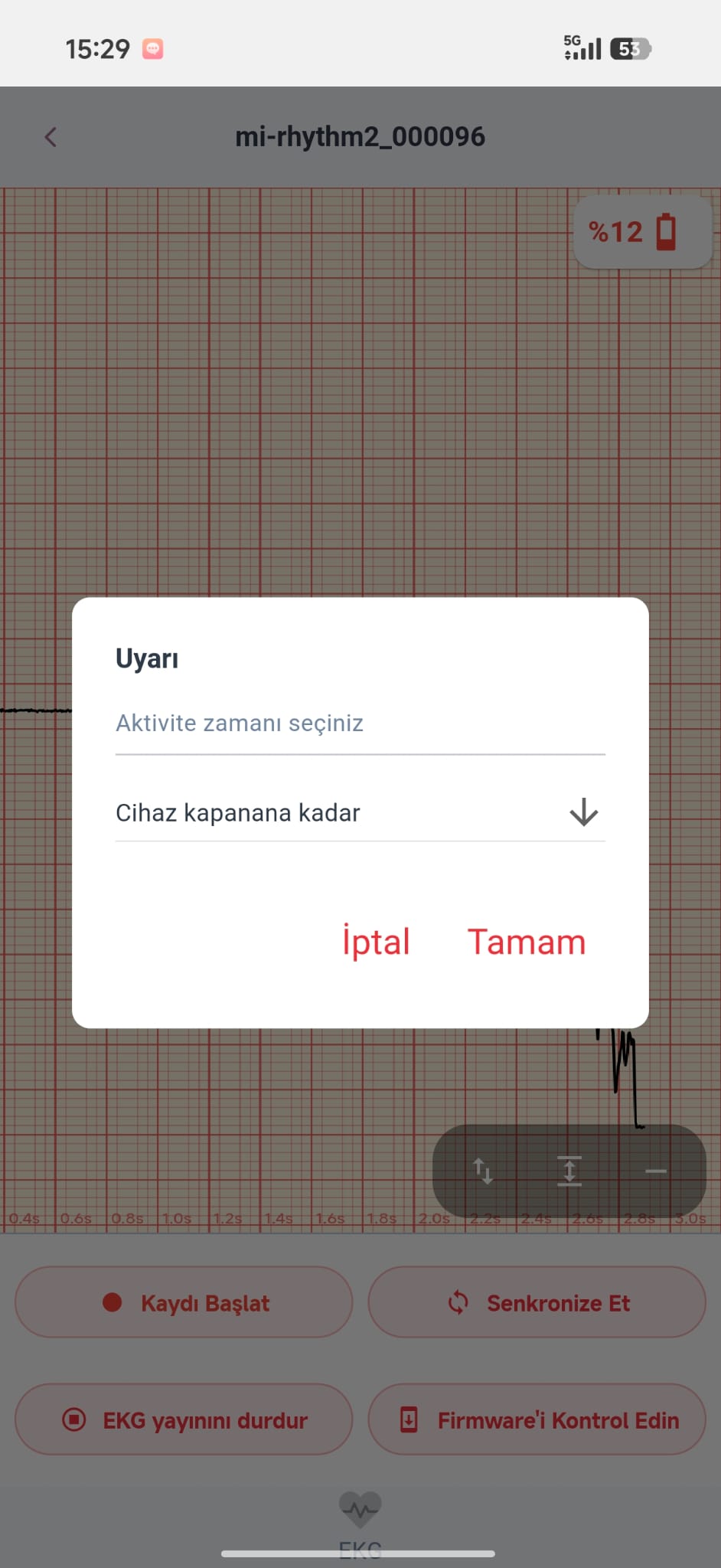 Patch EKG veri kaydı